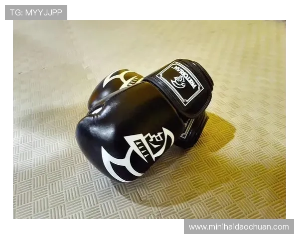 从零开始的拳击入门指南与基础训练技巧全解析实战应用与安全装备选择