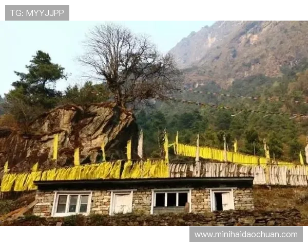 回望巅峰之路世界登山经典赛事的荣耀瞬间与传奇回顾历史全景盘点